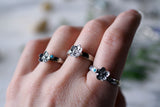 Forget me Not Rings