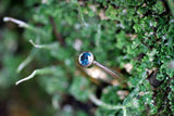 Knife Edge Solitaire 14kt Ring with Blue Diamond